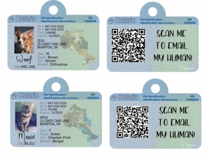 Ontario Pet ID Tags - Image 3