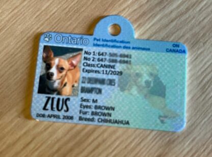 Ontario Pet ID Tags
