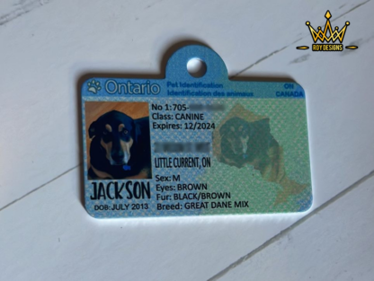 Ontario Pet ID Tags - Image 5