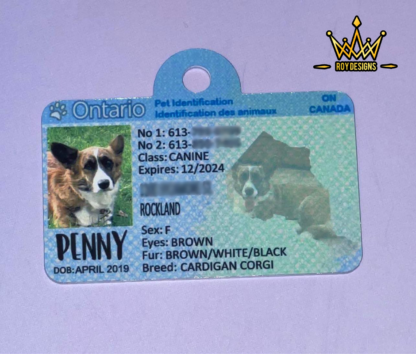 Ontario Pet ID Tags - Image 4