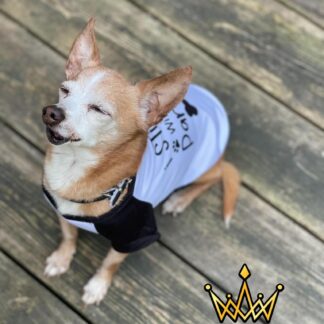 Dog Shirt