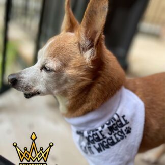 Pet Bandana