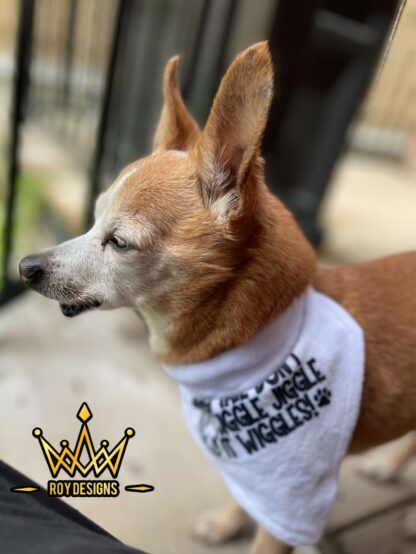 Pet Bandana