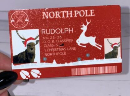Rudolph License